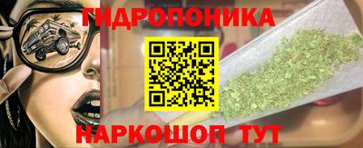 PSILOCYBIN Будённовск