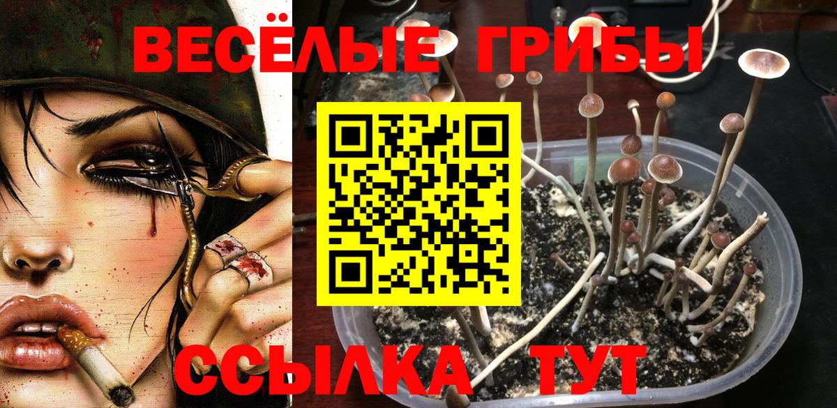 Галлюциногенные грибы мицелий  Вход с VPN  Арзамас 