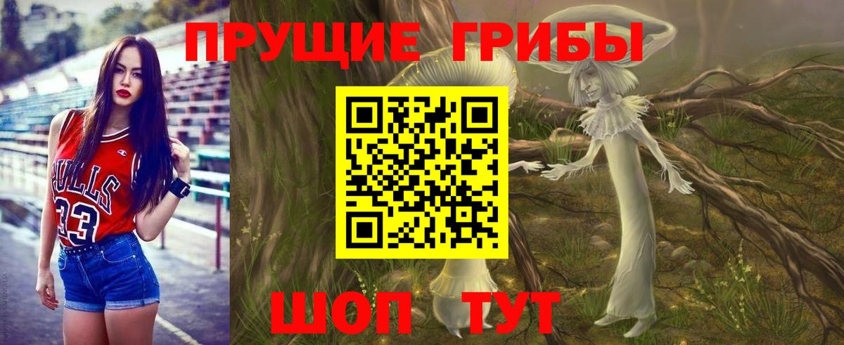 Галлюциногенные грибы Psilocybine cubensis Арзамас